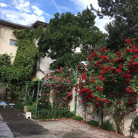 Vila 2 Bucureşti Ngoại thất bức ảnh