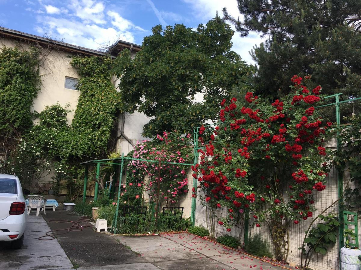 Vila 2 Bucureşti Ngoại thất bức ảnh